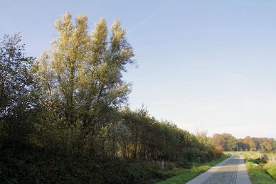 Polder van Bazel-Kruibeke 2015 17