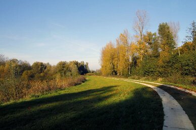 Polder van Bazel-Kruibeke 2015 22