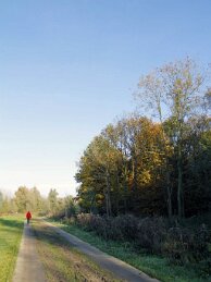 Polder van Bazel-Kruibeke 2015 23