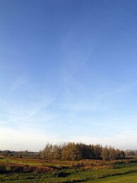 Polder van Bazel-Kruibeke 2015 29