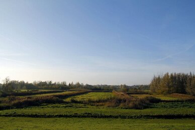 Polder van Bazel-Kruibeke 2015 30